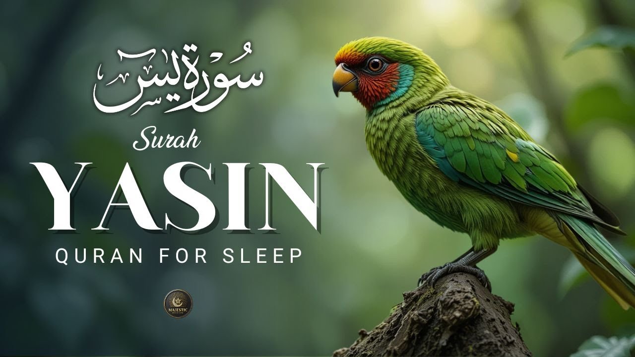 🌙 Surah Yasin سورة يس | A Peaceful Quran Recitation to Heal Your Soul | Ashraf Hussein