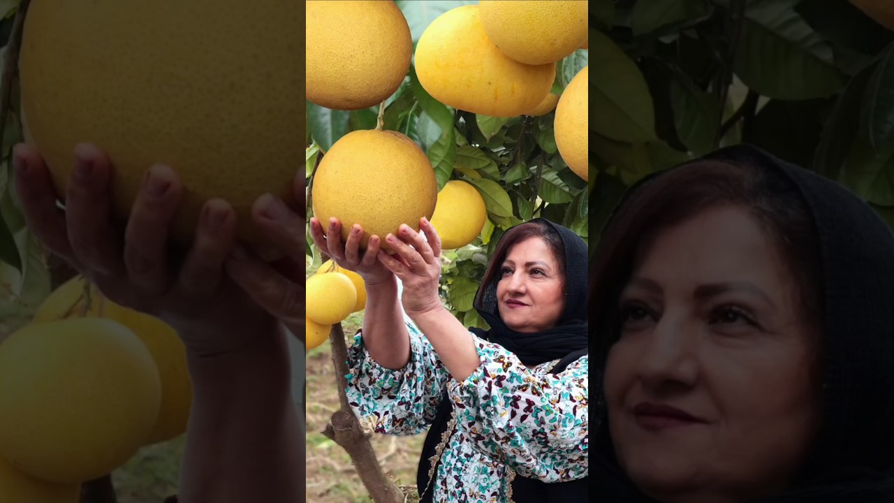 King of Citrus ( Pomelo ) Jam Recipe #ruralcuisine