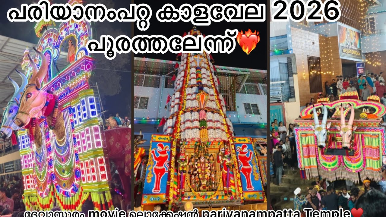 പരിയാനംപറ്റ പൂരത്തലേന്ന്- കാളവേല 2026🤩🔥|PARIYANAMPATTA POORAM 2026|devasuram movie location