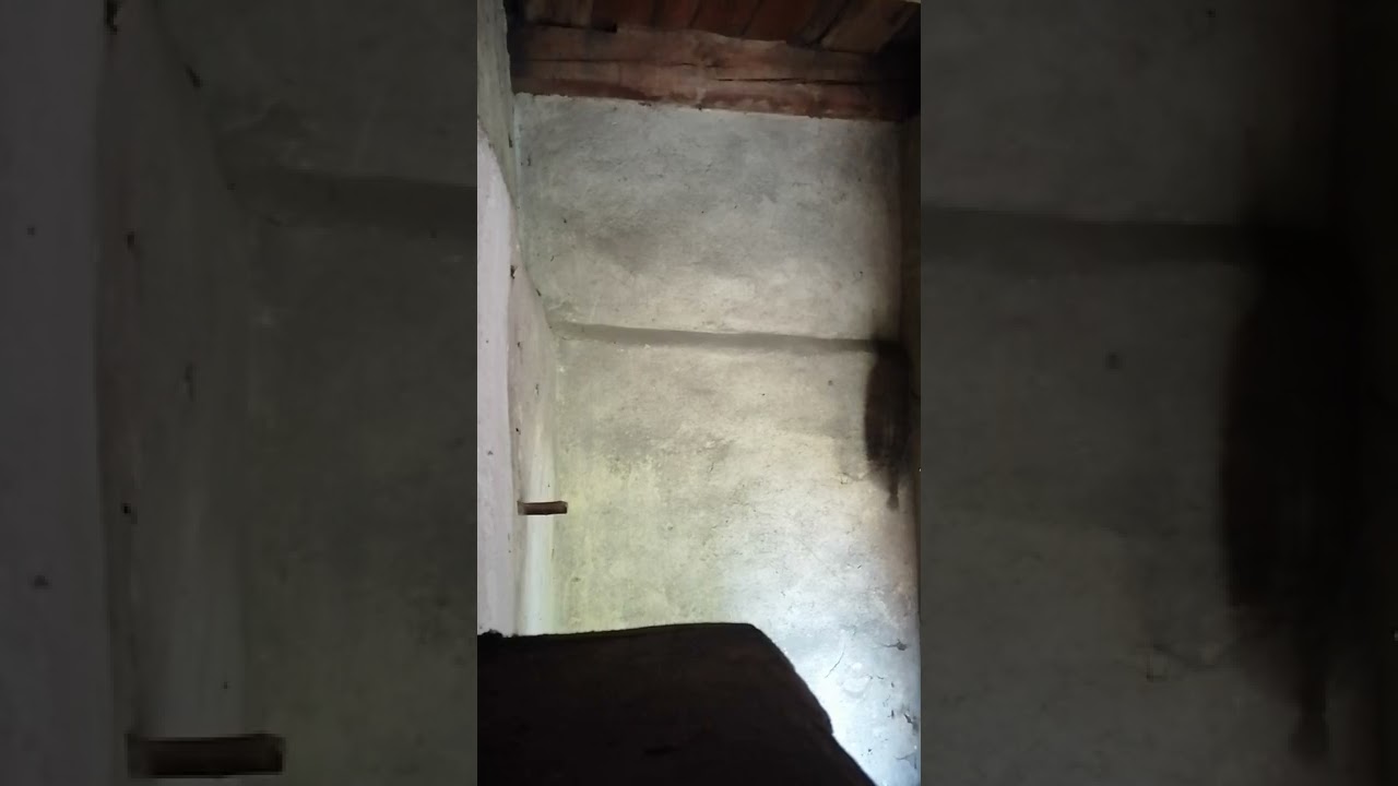 Proseck&yacute; zvon