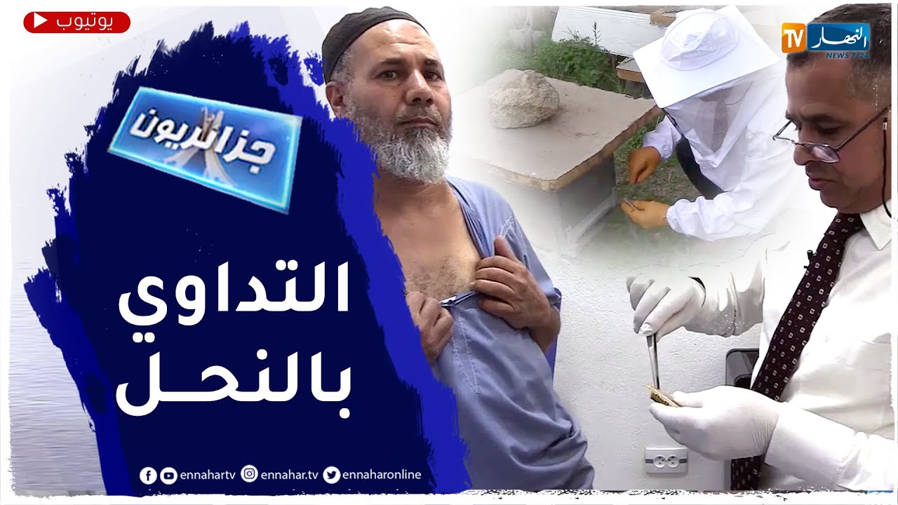 جزائريون: العلاج بسم النحل..  أسرار لا تنتهي