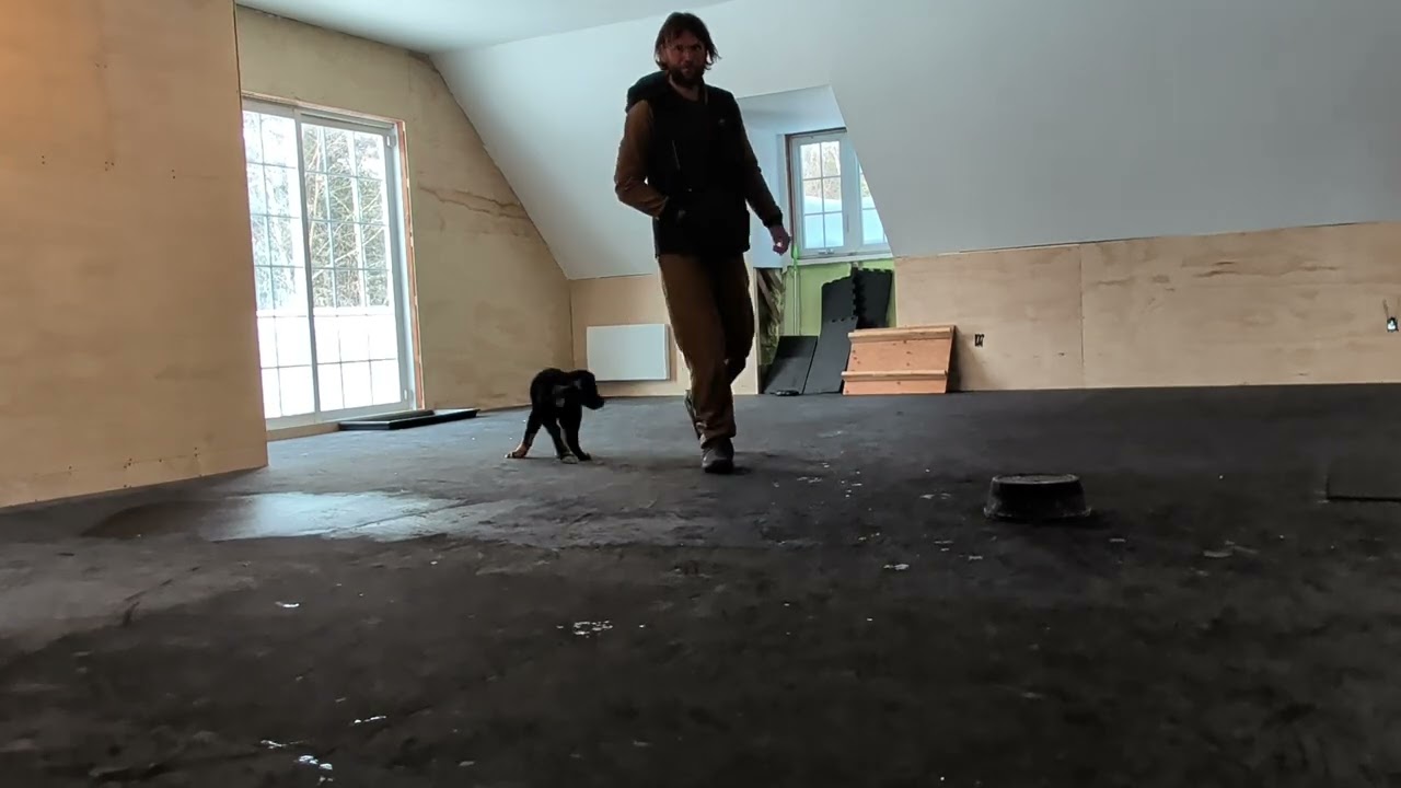 Around the cone, tub work and learning to back up - 10 weeks