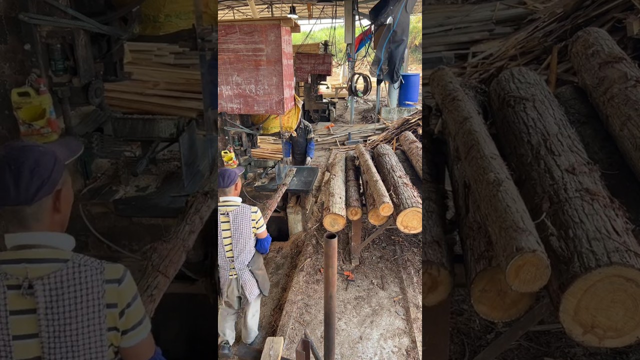 Working hard to get married--Sawing timber
