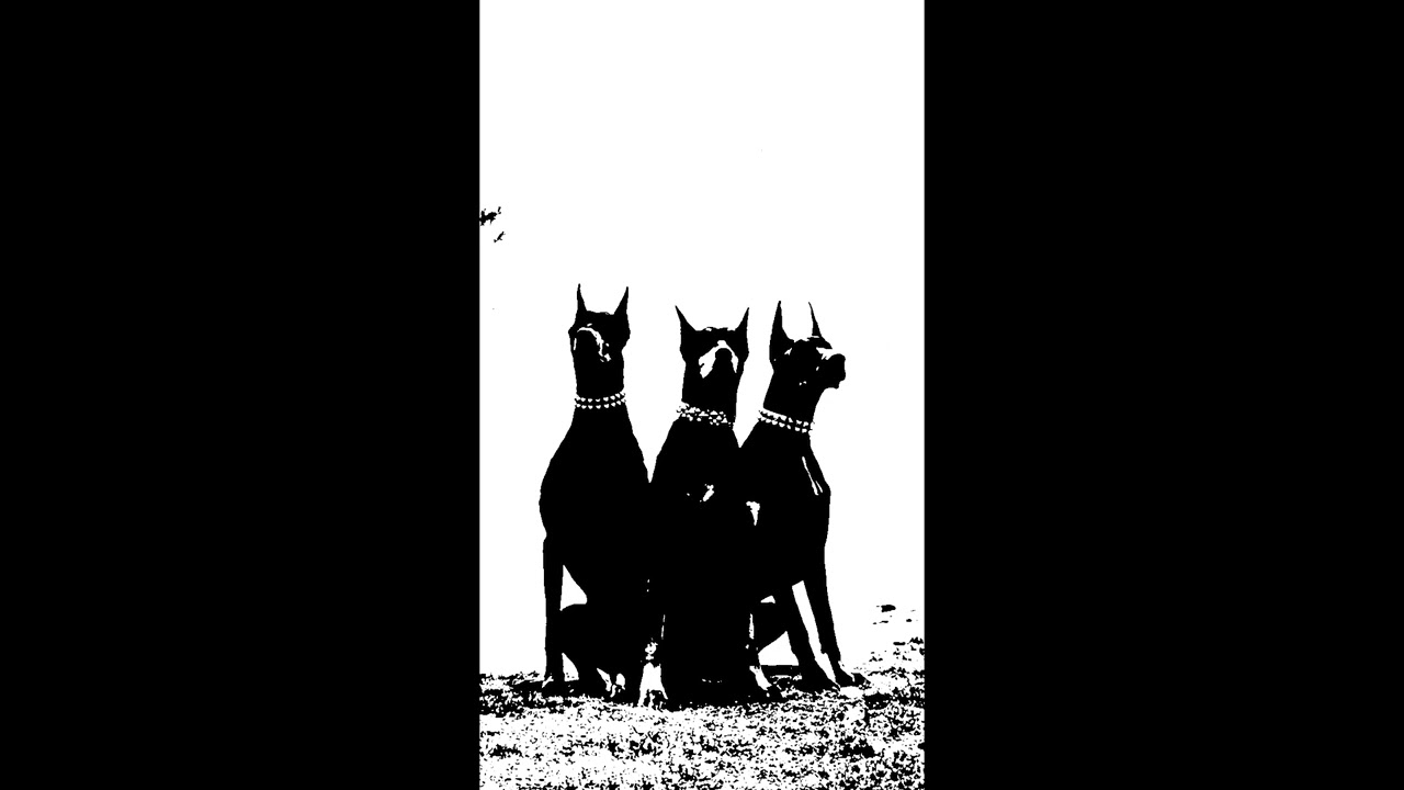 [FREE] Jolagreen23 x Ajna Type beat - 