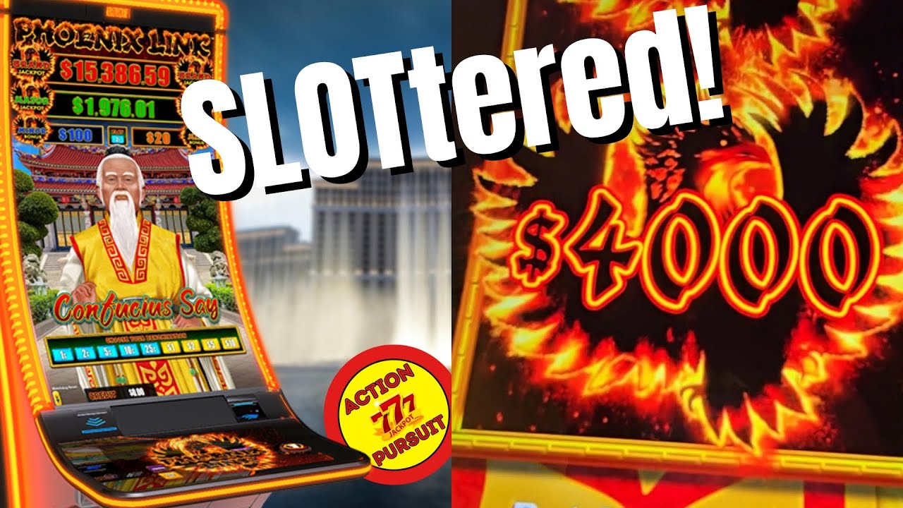 We Absolutely SLOTtered Phoenix Link! 💰