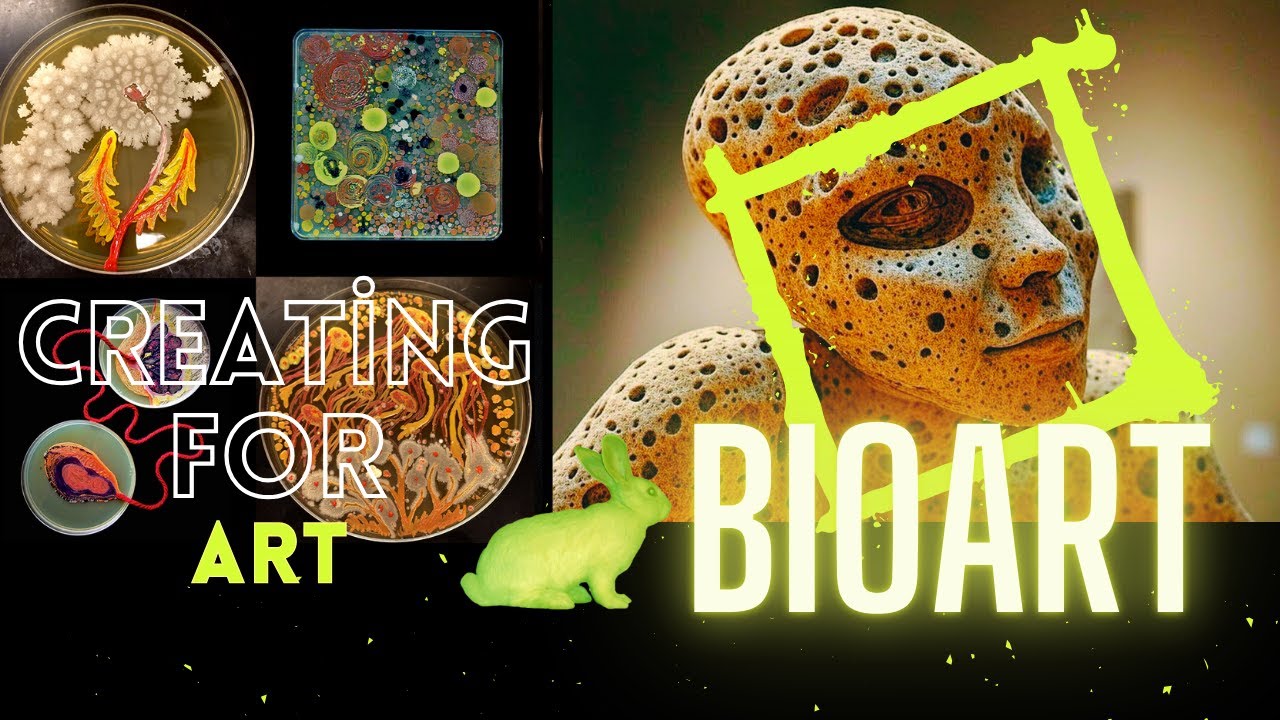BioArt - Creating for Art