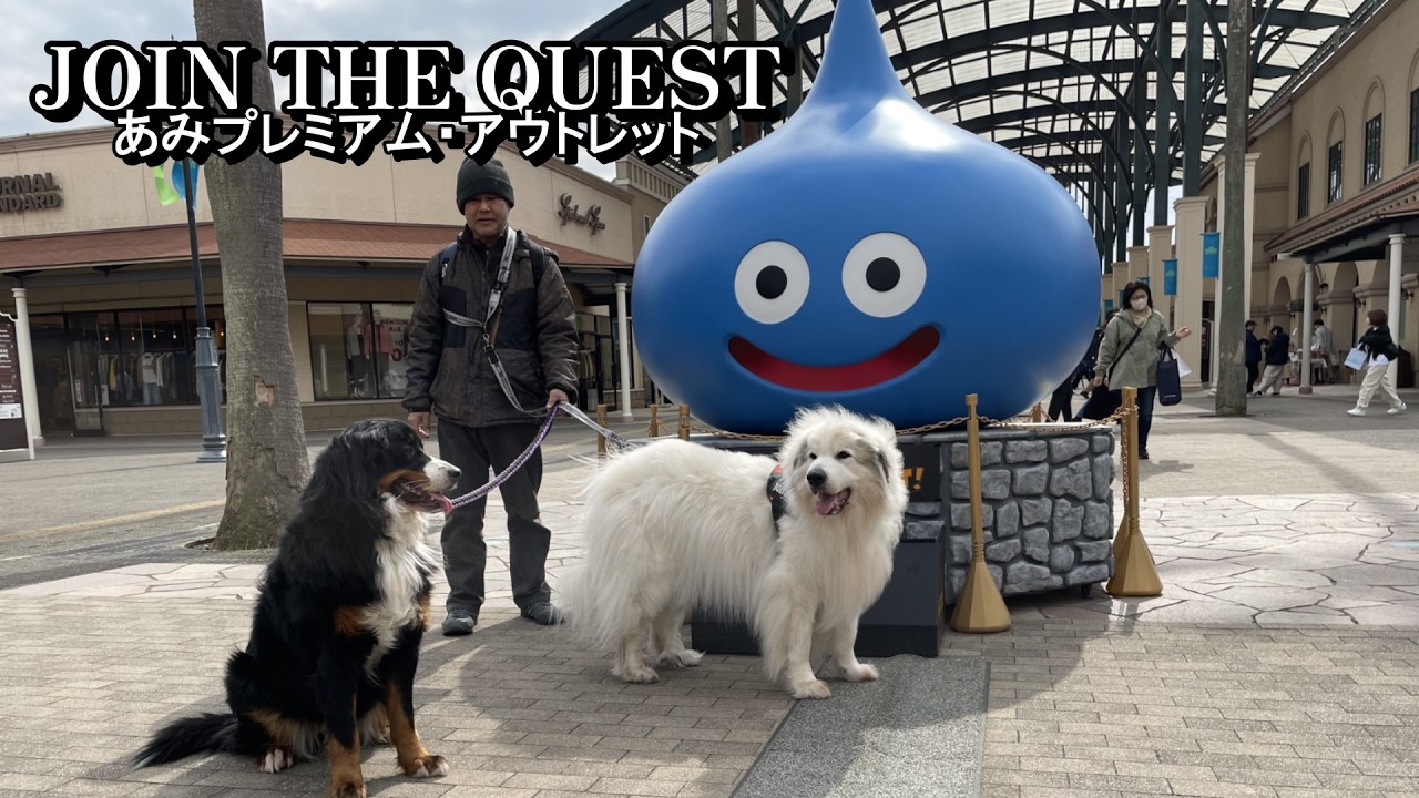 【ラム＆ピコ】プチお出かけしました【あみプレミアム・アウトレット】