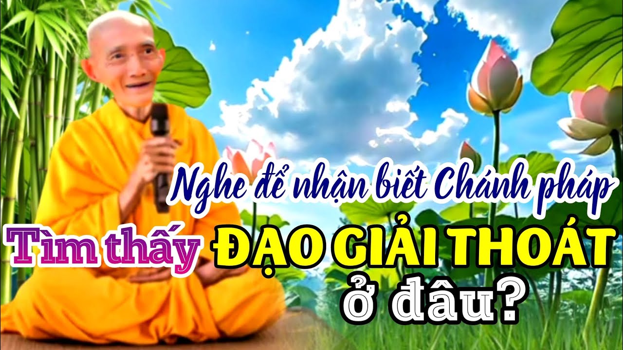 Tìm thấy đạo giải thoát ở đâu? Ht. Thích Giác Khang