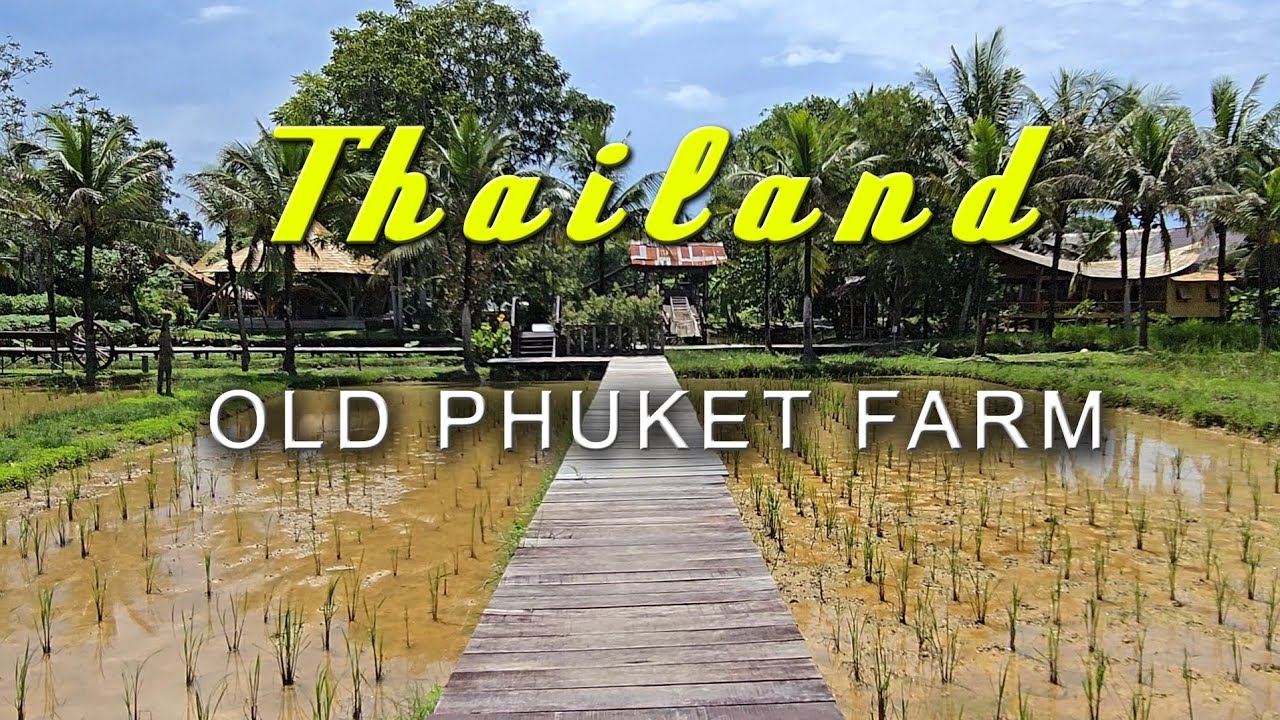 СТАРАЯ ФЕРМА ПХУКЕТА / OLD PHUKET FARM