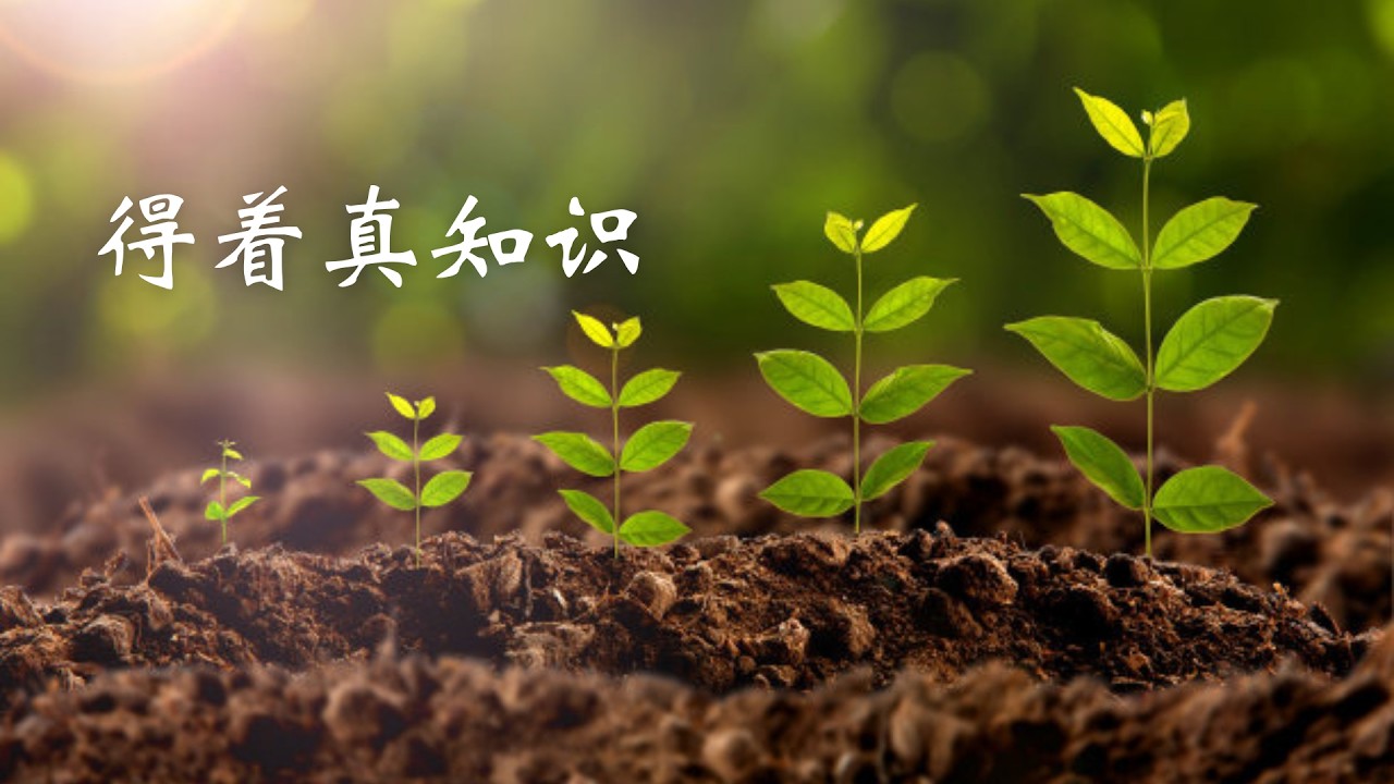 2022.4.23 慕斯分享《得着真知识》