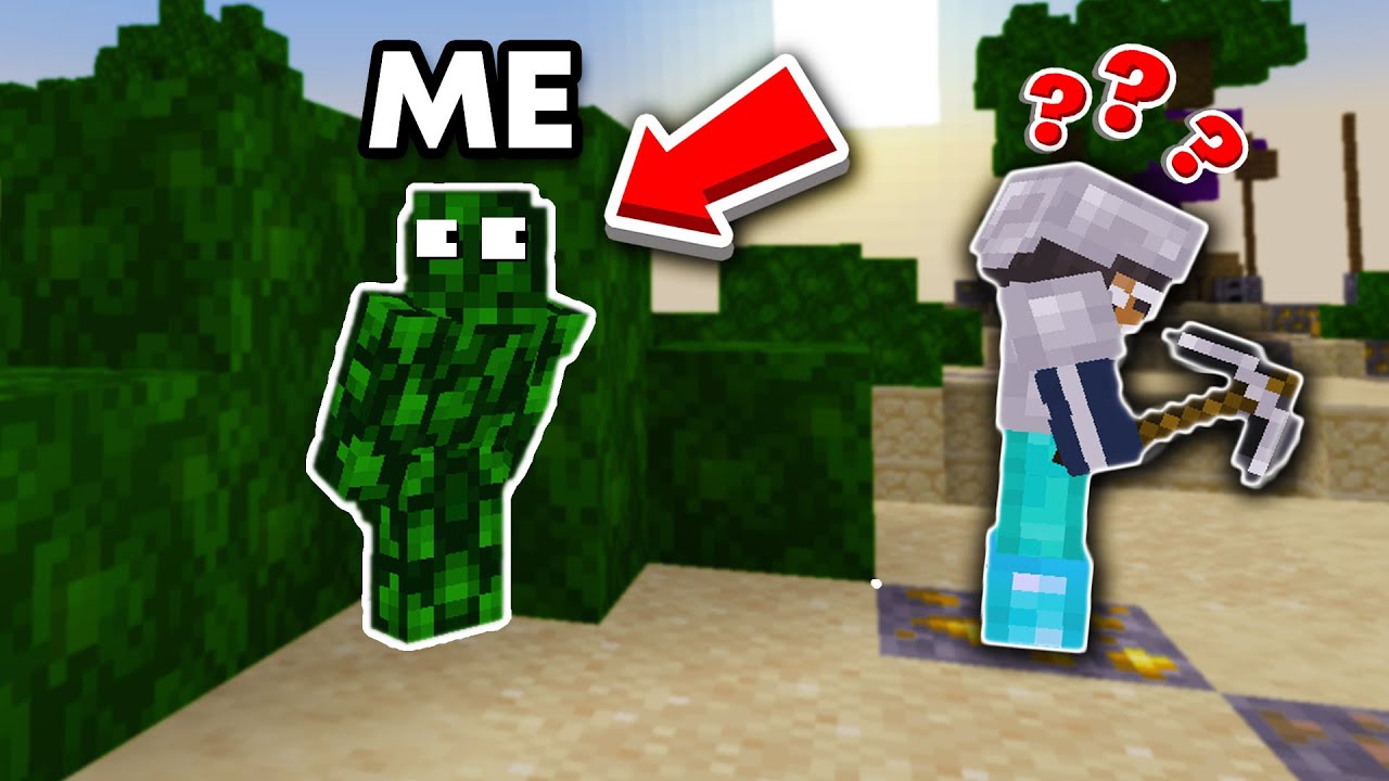 How I TROLLED Players with this CAMOUFLAGE Skin (Hive)