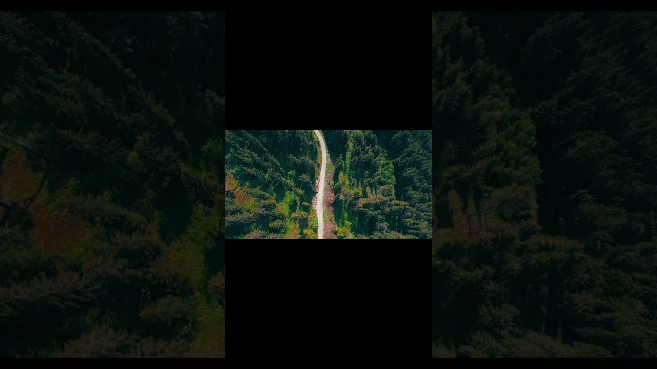 Beautiful Relaxing Soothing Music, Peaceful Music, "Nature's Rest" meditation video stress relief 