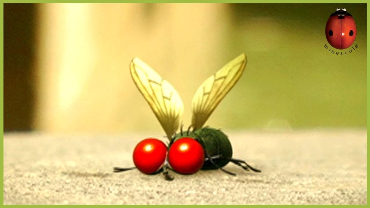 Mad Fly 🪰 Minuscule 🍃 20' Compilation