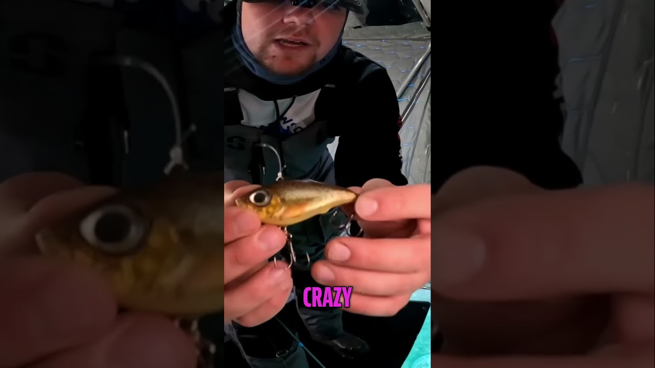 Absolutely Irresistible Ultimate Fishing Lure