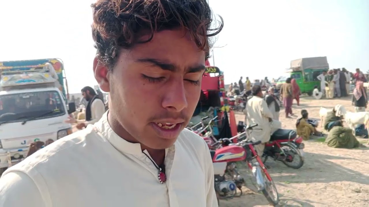 ماشاءاللہ قربانی 2026 والے راجن پوری بکرے اور بکریاں اور مندرے ابرار گوٹ فارم سے حاصل کریں 🥰🫥 😱