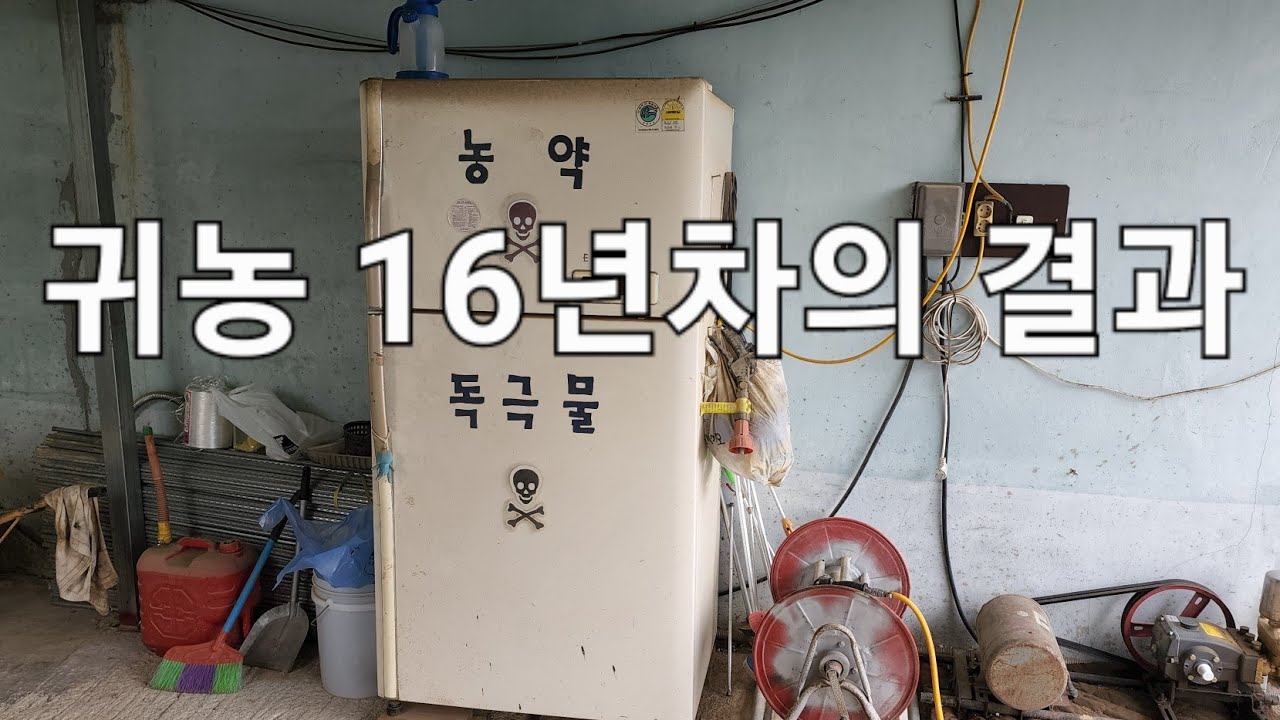 귀농,귀촌인이 망해가는 진짜이유 1~3중 3편. 잃어버린 16년