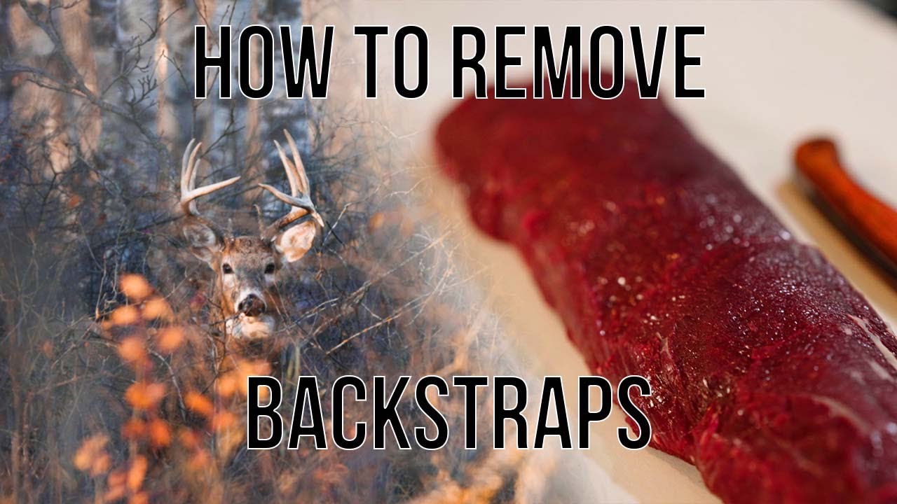 How to Remove a Deer Backstrap