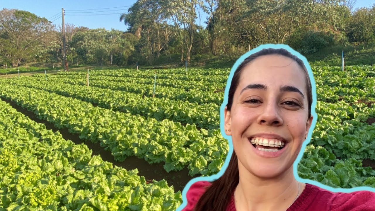 COMO APLICAR BOKASHI NA HORTA
