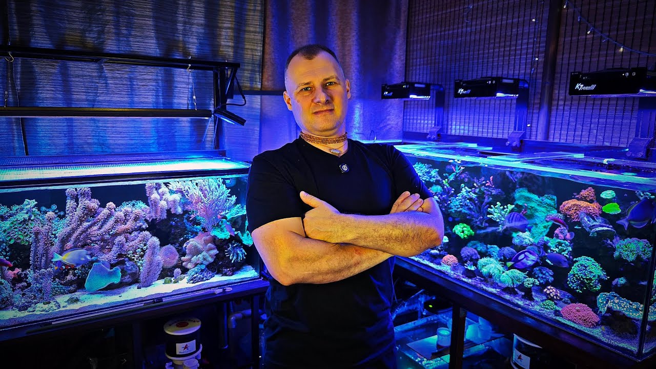 Аквариумы Сергея CAIMAN