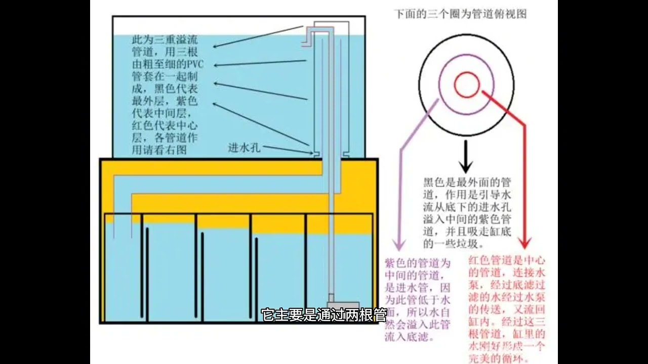 一次性把底滤鱼缸弄清楚，它的运行原理是什么，优缺点是怎么