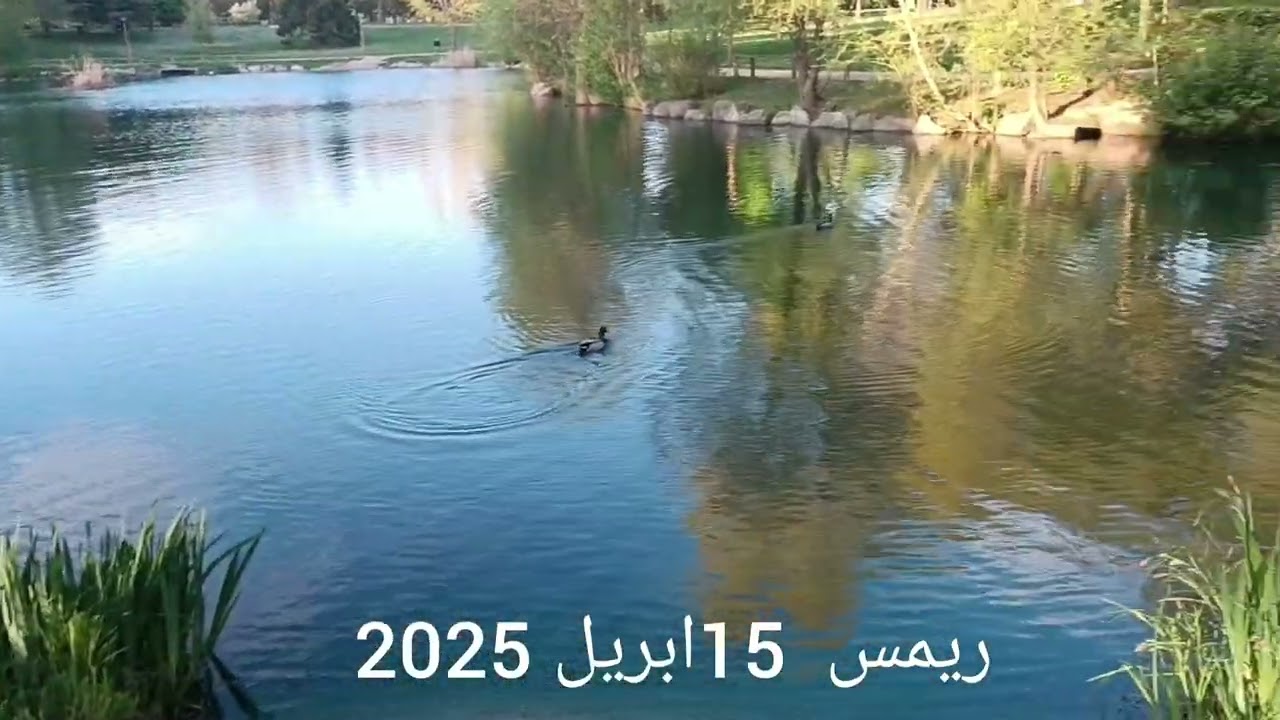 ريمس 15/04/2025