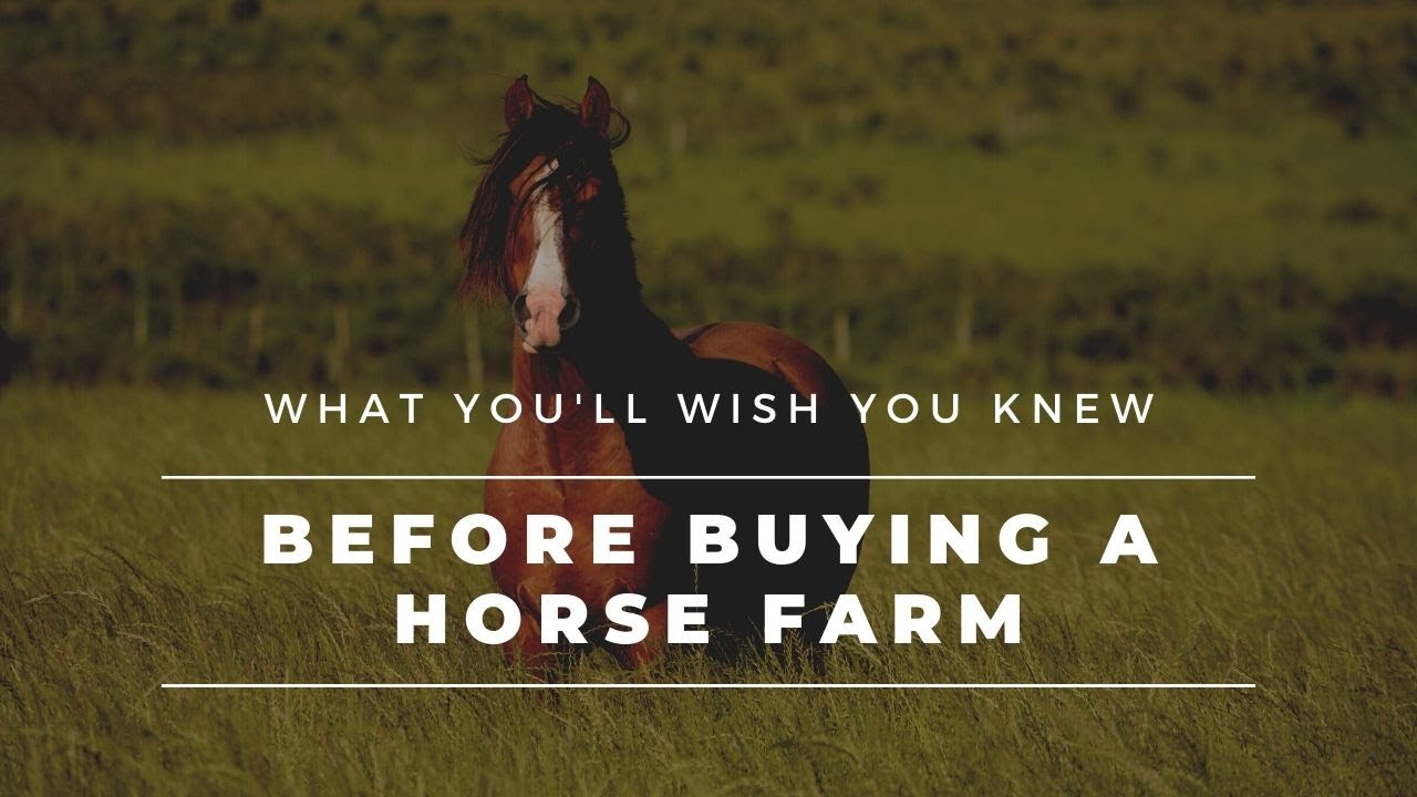 What You'll Wish You Knew Before Buying A Horse Farm