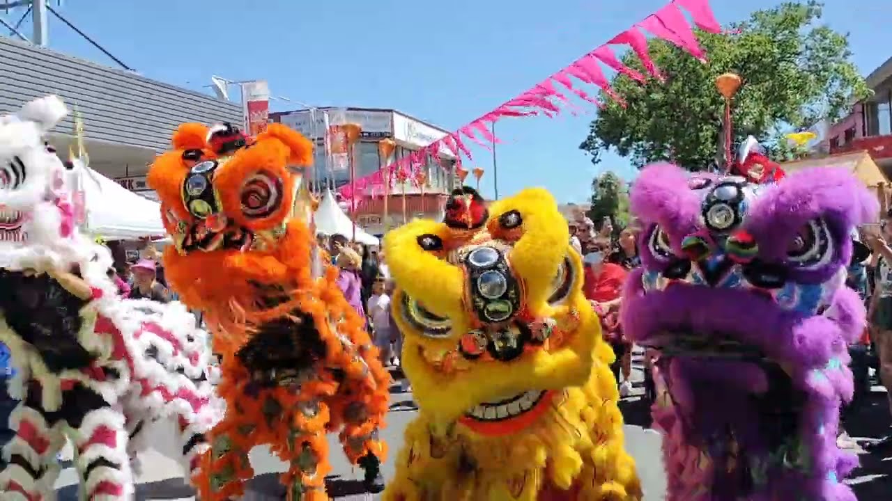 🦁 THQ Liondance Lunar New Year Festival Cabramatta 2023