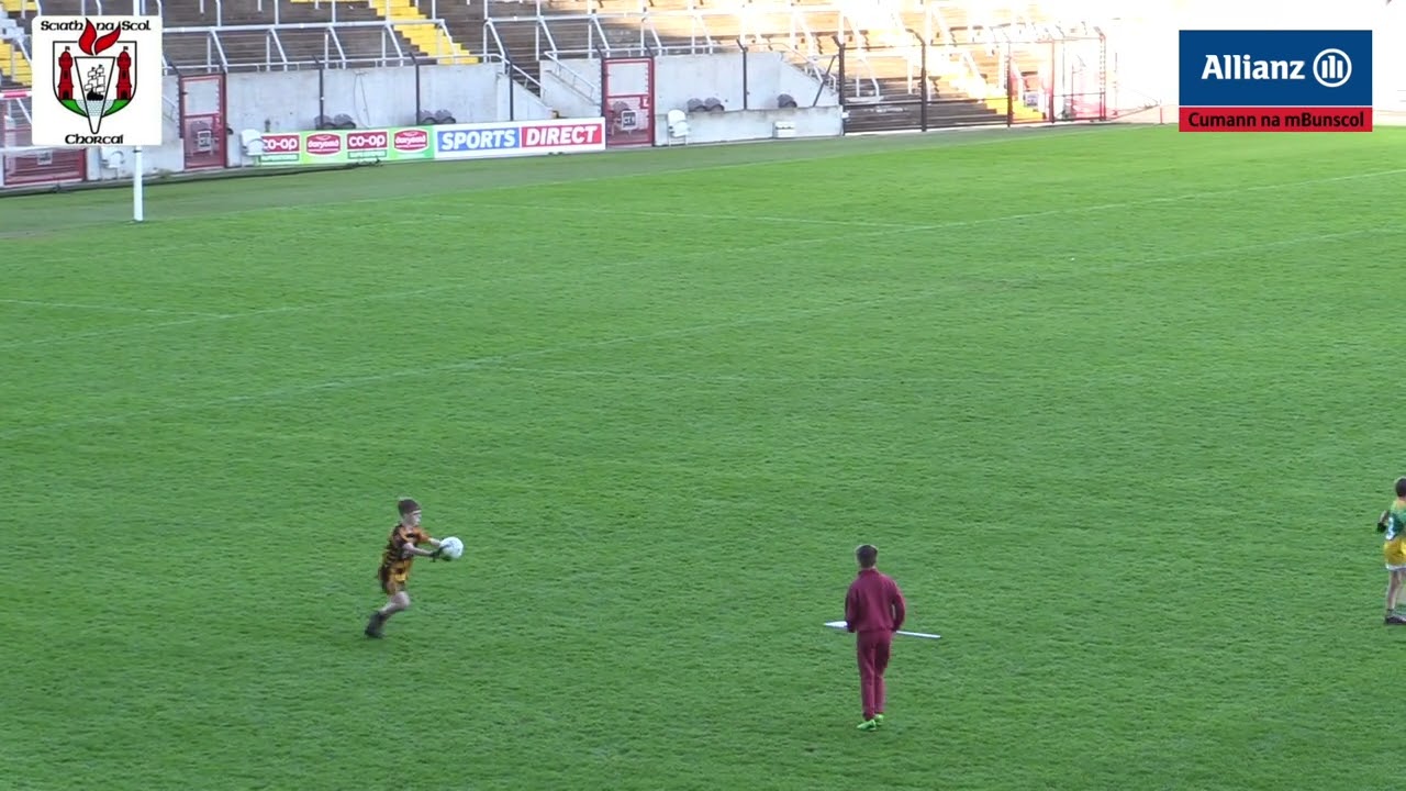 Canovee v Cloughduv