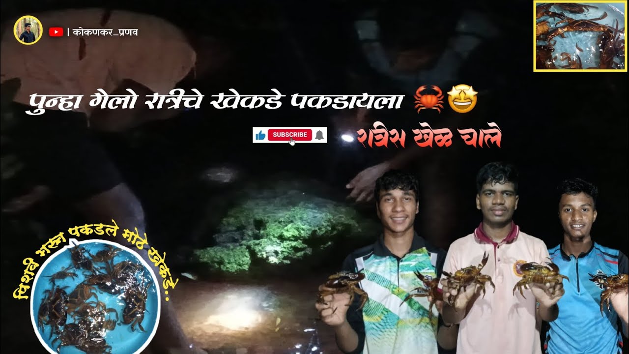 रात्रीचे बॅटरीवर खेकडे पकडण्याची धमाल 🦀🤩🔦 | crab catching in dark night...