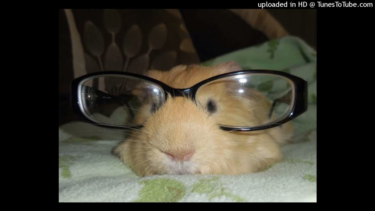 Organism @blank1691 @1cyandream