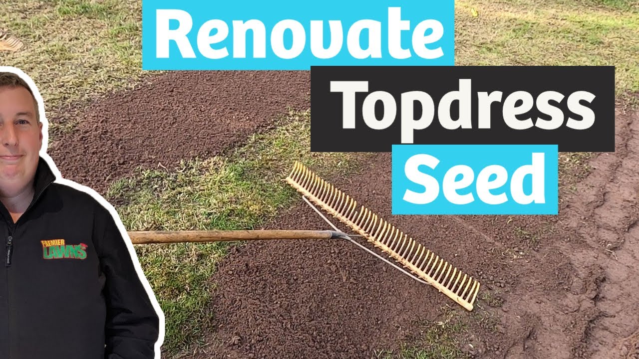 Aerating Scarifying and levelling out a bumpy lawn