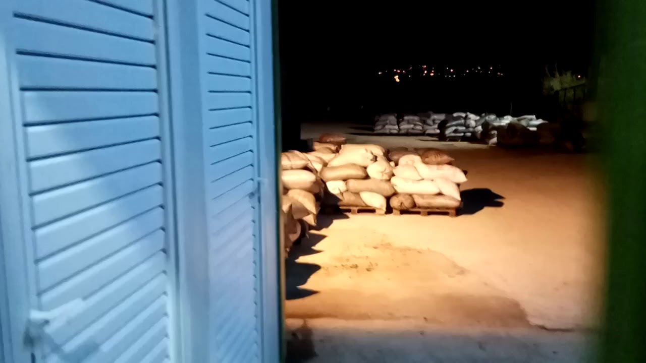 Λάδι Σολυγείας