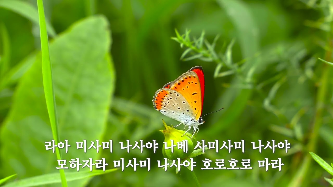 천수경 _ 효각스님 (90분/5회 반복)