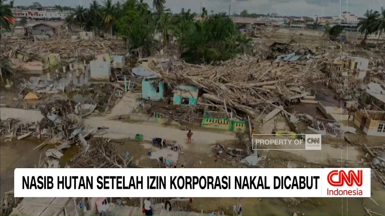 Nasib Hutan Usai Izin Korporasi Nakal Dicabut