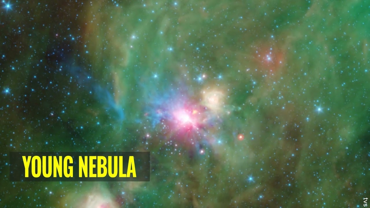 Stars of Cepheus ✨ | A Stunning Cosmic Journey Through the Night Sky