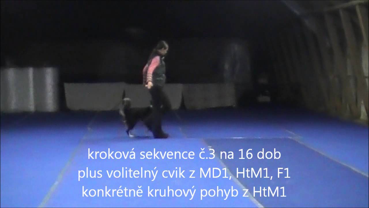 Aša DwD1