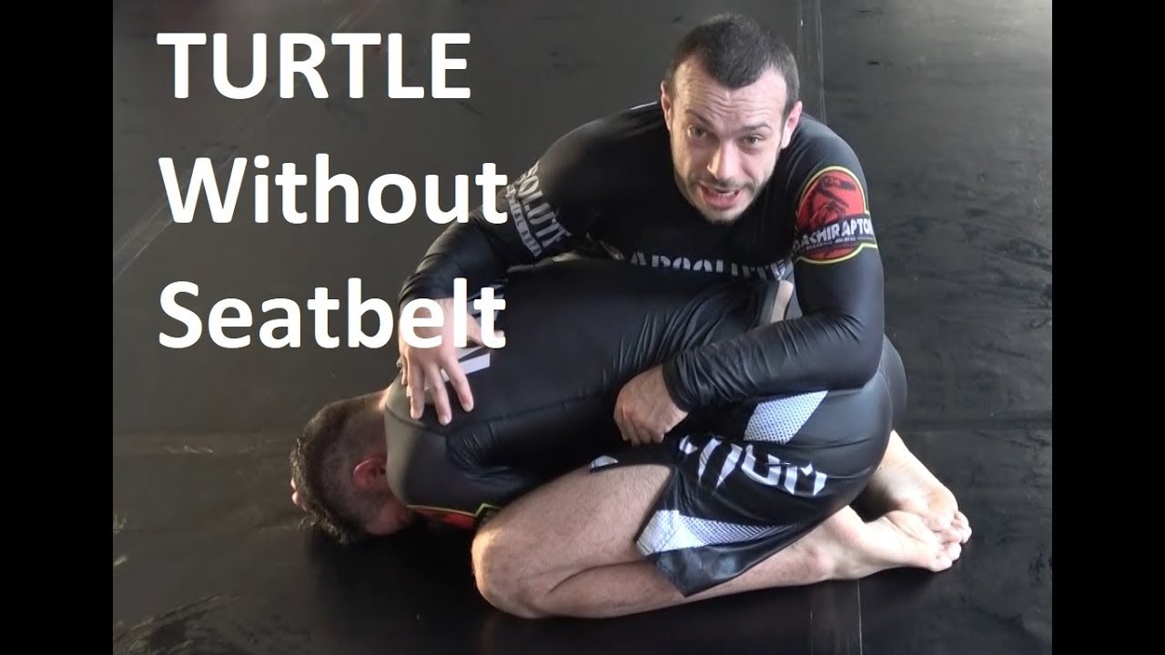Attacking turtle when you cant get the seatbelt (Lachlan Giles)