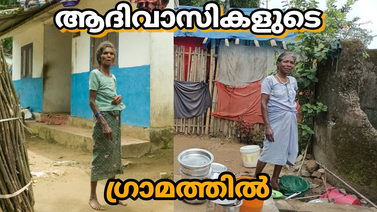 വയനാട്ടിൽ ആദിവാസി ഗോത്ര വിഭാഗക്കാർ മാത്രം താമസിക്കുന്ന ഗ്രാമത്തിൽ | wayanad tribal colony