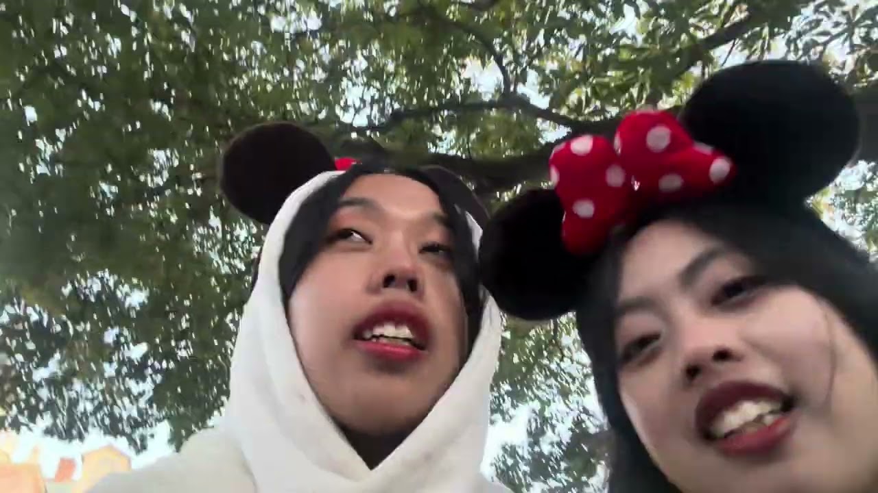 Disneylandd🎠🎢🍗