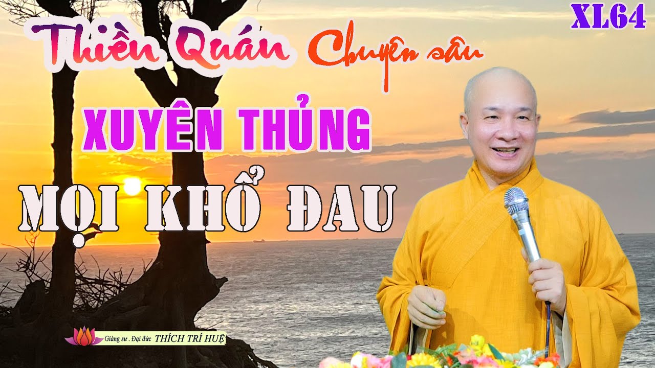 Thiền Quán Chuyên Sâu, Đánh Tan Tất Cả Ngỏ Ngách Mọi Phiền Não (Cực hay). Thầy Thích Trí Huệ XL64