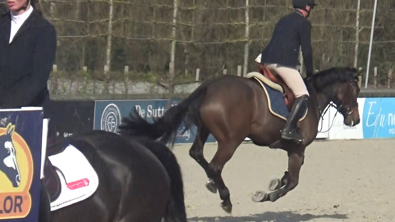 Ninja JW van de Moerhoeve