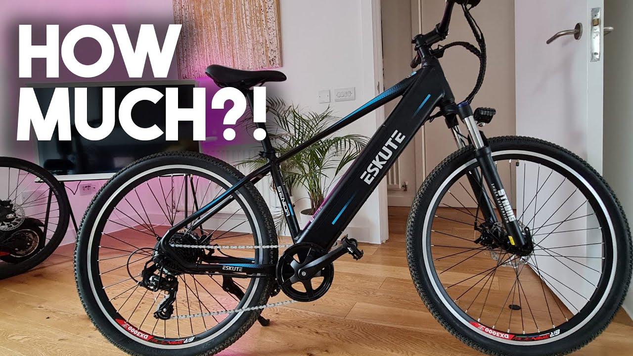 WATCH THIS BEFORE YOU *BUY* AN EBIKE... ESKUTE VOYAGER EBIKE