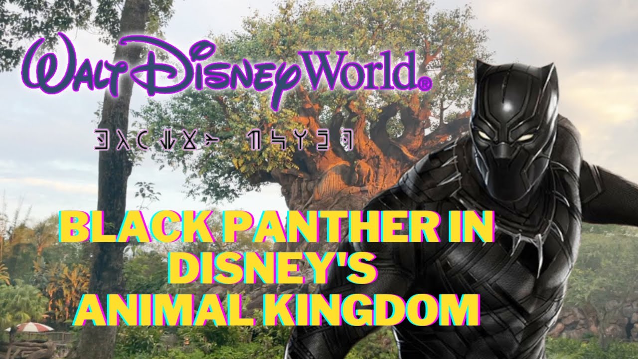 Black Panther Coming To Disney World | Last Hour Of Disney's Animal Kingdom