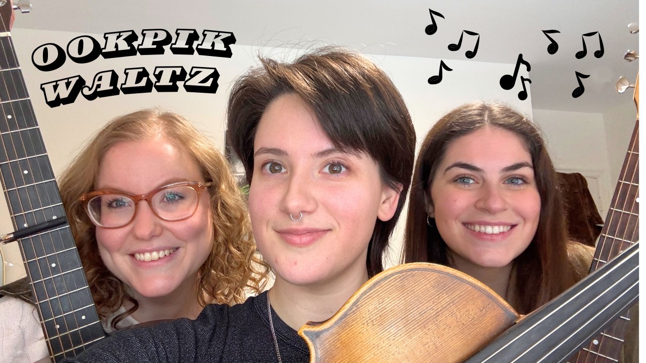 Wild Bloom - Ookpik Waltz (Canadian Fiddle Tune - Frankie Rodgers cover)