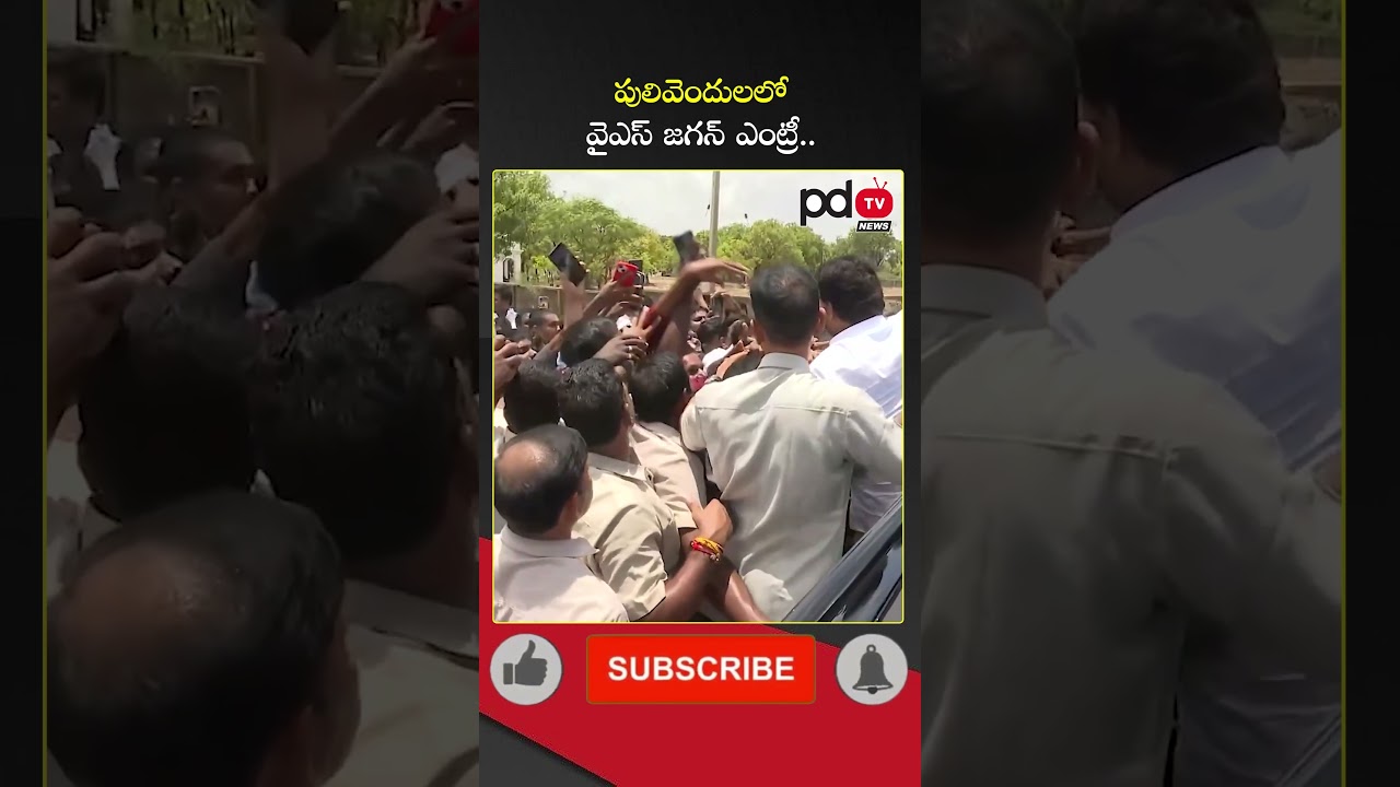 YS Jagan Entry at Pulivendula : #shorts #ysjagan #pdtvnews