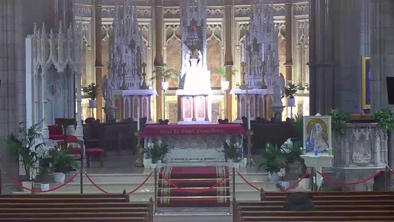 Daily Mass from Newry Cathedral
