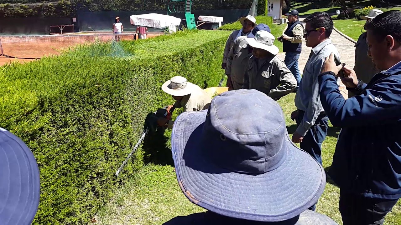 CORTASETOS 226HD75S HUSQVARNA