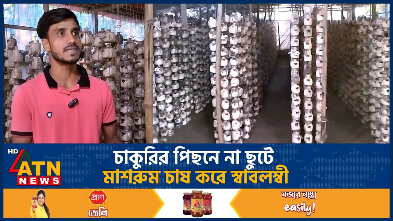 চাকুরির পিছনে না ছুটে মাশরুম চাষ করে স্বাবলম্বী | Mushroom | Mushroom Cultivation | ATN News