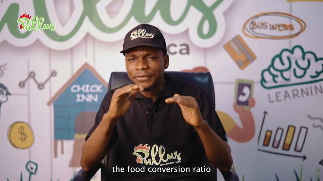 What is Feed Conversion Ratio (FCR) in Poultry Keeping?