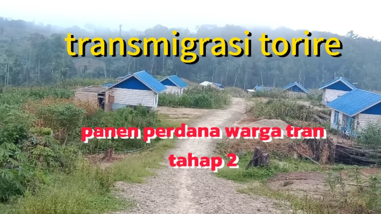 Transmigrasi torire tahap 2 #vidioviral #transmigrasi #poso